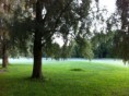 /album/bildgalleri/natur-jpg/