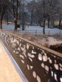 /album/bildgalleri/bild-jpg/
